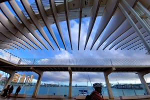 Malaga: City Bike Rental with Self-Guided Cycling Route