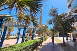 Malaga: City Bike Rental with Self-Guided Cycling Route