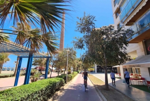 Malaga: City Bike Rental with Self-Guided Cycling Route