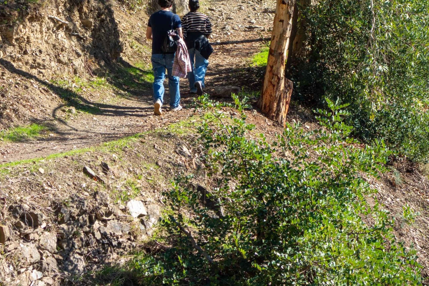 Málaga: City Hike in Málaga with Gibralfaro Mountain