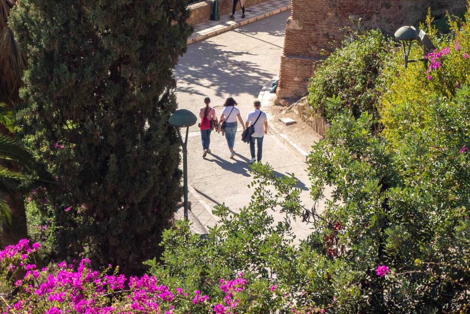 Málaga: City Hike in Málaga with Gibralfaro Mountain