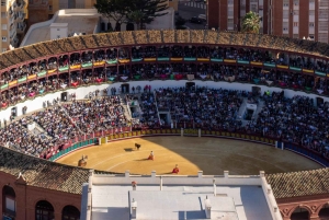 Málaga: City Hike in Málaga with Gibralfaro Mountain