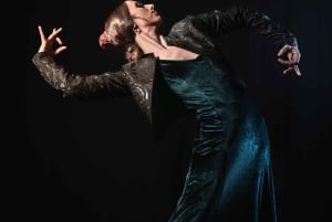 Tour della città di Malaga: avventura storica di 3 ore in segway