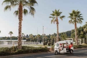 Malaga: Privat stadsrundtur med Eco Tuk Tuk