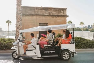 Malaga: Private City Tour by Eco Tuk Tuk