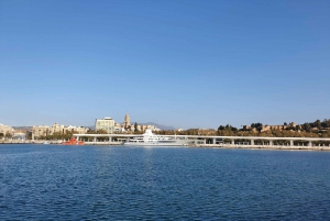 Malaga: City Tour with Alcazada & Gibralfaro Castle Entry