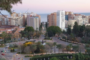 Malaga: City Tour with Alcazada & Gibralfaro Castle Entry
