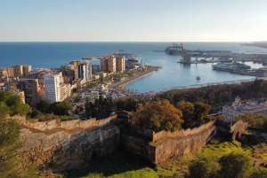 Malaga: City Tour with Alcazada & Gibralfaro Castle Entry