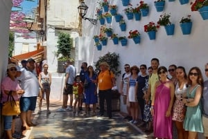 Málaga & Costa del Sol: Ronda and Setenil de las Bodegas