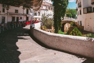 Málaga & Costa del Sol: Ronda and Setenil de las Bodegas