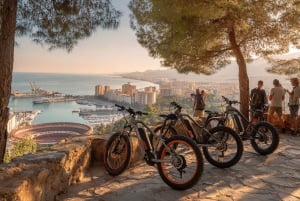 Málaga: E-Bike City Tour with Gibralfaro Forest