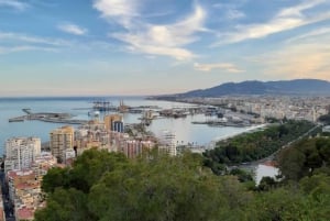 Málaga: 3 timmars sightseingrundtur med elcykel