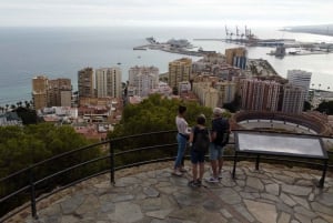 Málaga: Sightseeingtur på elcykel