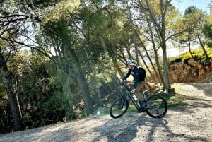 Málaga: 'El Chorro' E-bike guided tour 4h