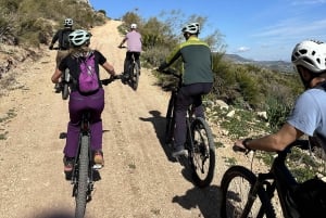 Málaga: 'El Chorro' E-bike guided tour 4h