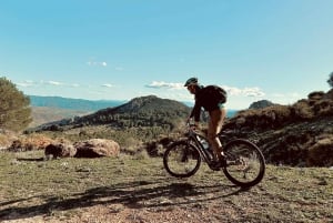 Málaga: 'El Chorro' E-bike guided tour 4h