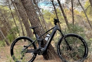 Málaga: 'El Chorro' E-bike guided tour 4h