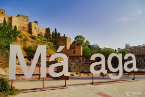 Malaga: Electric Car City Tour and Historic Center Walk