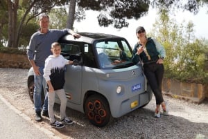 Malaga: Elektrische Autotocht en bezoek Kasteel Gibralfaro