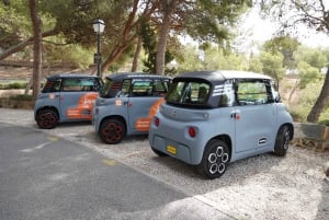 Malaga: tour della città con auto elettriche e visita al castello di Gibralfaro