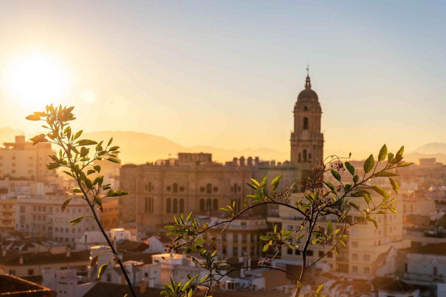 Malaga: Ekspressvandring med en lokal på 60 minutter