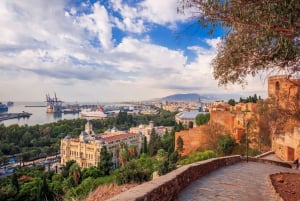 Malaga: Expresspromenad med en lokalbo på 60 minuter