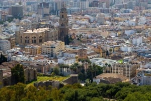 Malaga: Express wandeling met een local in 60 minuten