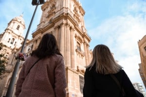 Malaga: Wycieczka z przewodnikiem po flamenco i mieście