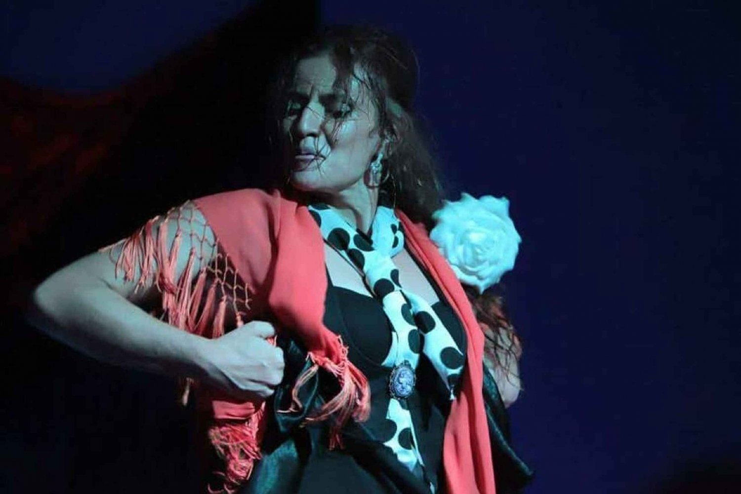 Malaga: Flamenco-show på Kelipé kunstcenter