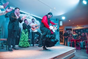 Malaga: Flamenco-, tapas- ja viinikierros