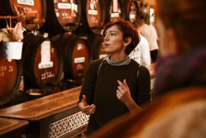 Malaga: Flamenco, Tapas, and Wine Tour