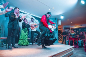 Malaga: Flamenco, Tapas, and Wine Tour