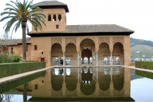 Malaga: Granada Day Trip with Alhambra, Palaces and Gardens