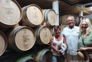 Málaga y Granada: Cata de vinos y tapas con recogida en el hotel