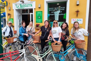 Malaga: Guided Bike Tour