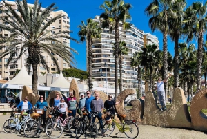 Malaga: Guided Bike Tour