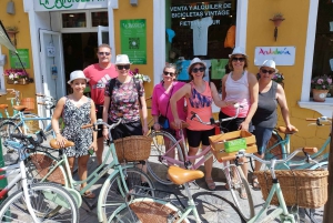 Malaga: Guided Bike Tour
