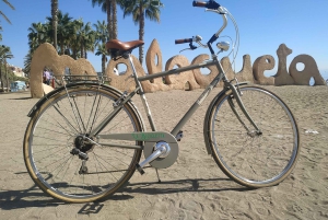 Malaga: Guided Bike Tour