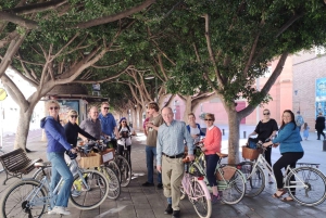 Malaga: Guided Bike Tour