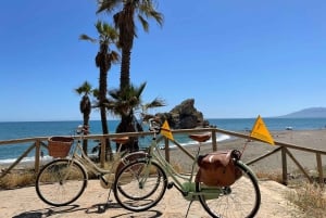 Malaga: Guided Bike Tour