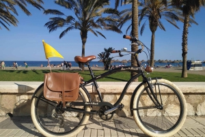 Malaga: Guided Bike Tour