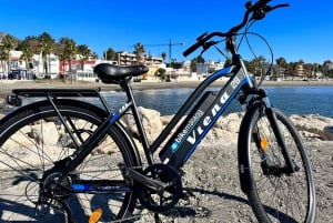 Málaga: tour guiado en bicicleta eléctrica con alquiler de día completo
