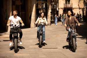 Malaga: Guided E-Fatbike Tour with Panoramic Views