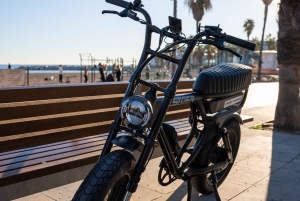 Malaga: Guided E-Fatbike Tour with Panoramic Views
