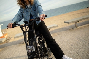 Malaga: tour guidato in e-fatbike con viste panoramiche