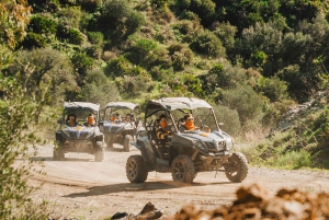 Málaga: Guided Off-Road Buggy Tour in Mijas (2 or 4 Seater)