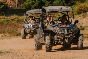 Málaga: Guided Off-Road Buggy Tour in Mijas (2 or 4 Seater)