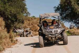 Málaga: Guided Off-Road Buggy Tour in Mijas (2 or 4 Seater)