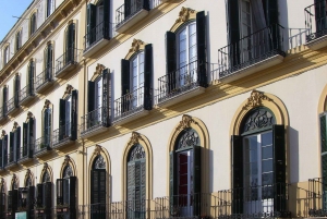 Malaga: Guidad rundtur i Picassos födelseplatsmuseum