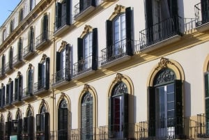Malaga: Guided tour of Picasso's Birthplace Museum